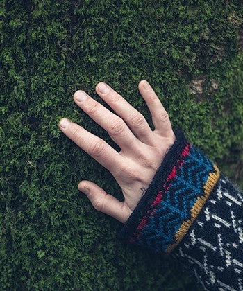 hands on tree